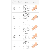 パンプス 痛くない 走れる | welleg | 詳細画像22