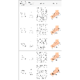 ショートブーツ 痛くない レディース | welleg | 詳細画像22 