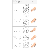 モズ moz スニーカー | welleg | 詳細画像23
