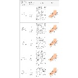 スニーカー 厚底 メリージェーン | welleg | 詳細画像18