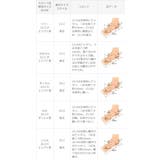 パンプス 走れる ストラップ | welleg | 詳細画像26 