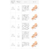 キャンパススニーカー ローカットスニーカー レディース | welleg | 詳細画像24 