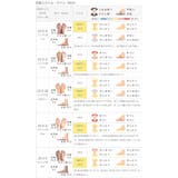 モズ moz スニーカー | welleg | 詳細画像21 