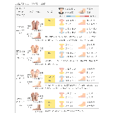 スニーカー レディース バレエスニーカー | welleg | 詳細画像22 