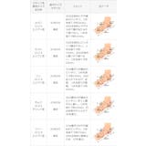 パンプス ぺたんこ 2way | welleg | 詳細画像35