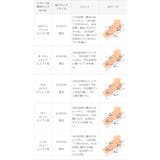 パンプス ぺたんこ 2way | welleg | 詳細画像36