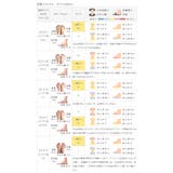 スニーカー ローカット レースアップ | welleg | 詳細画像22 