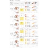 スニーカー レディース バレエスニーカー | welleg | 詳細画像19
