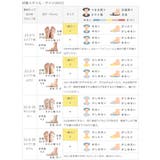 スニーカー ローカットスニーカー レースアップ | welleg | 詳細画像25 