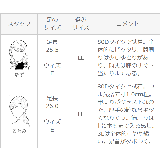 レディース スクエアトゥ サイドジップ | welleg | 詳細画像17 