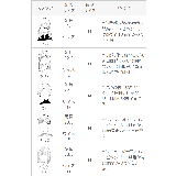 足袋フットカバー 足袋 フットカバー | welleg | 詳細画像2