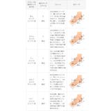 オフィスで履き替え オフィスミュールサンダル 7㎝ヒールver | welleg | 詳細画像26 