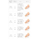 サイドカットスクエアトゥパンプス レディース パンプス | welleg | 詳細画像20