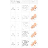 スクエアトゥストレッチパンプス レディース パンプス | welleg | 詳細画像19 