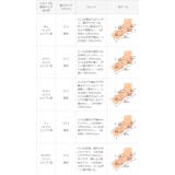 パンプス 走れる 履きやすい | welleg | 詳細画像21 