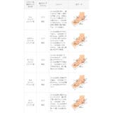 パンプス 走れる 履きやすい | welleg | 詳細画像22 