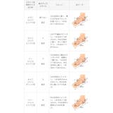 チュールブーツ レディース ショートブーツ | welleg | 詳細画像21 