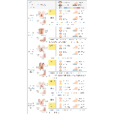 バレエシューズ 痛くない 歩きやすい | welleg | 詳細画像17