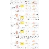 ストラップサンダル 脱げない レディース | welleg | 詳細画像23