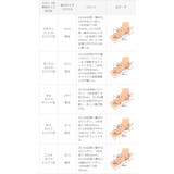 ポインテッドトゥ Vカットデザイン ローヒール | welleg | 詳細画像28 