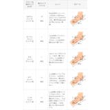 ストラップサンダル 脱げない レディース | welleg | 詳細画像27