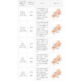 パンプス 走れる ストラップ | welleg | 詳細画像27 