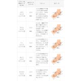 パンプス 走れる ストラップパンプス | welleg | 詳細画像31 