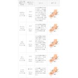 モズ moz スニーカー | welleg | 詳細画像33