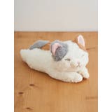 くたっとびより ミニクッション【ミケ】 | LUDIC PARK | 詳細画像1 