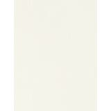 パール付きリブチュールトップス | LUDIC PARK | 詳細画像12 