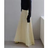 【Pasterip】Acetate flared big skirt | PAL GROUP OUTLET | 詳細画像1