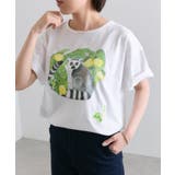 【ear PAPILLONNER】ワオキツネザルTシャツ | PAL GROUP OUTLET | 詳細画像10 