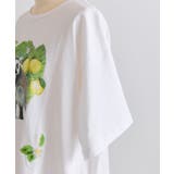【ear PAPILLONNER】ワオキツネザルTシャツ | PAL GROUP OUTLET | 詳細画像5 