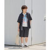 【Kastane】STRETCH SEERSUCKER SHORT | PAL GROUP OUTLET | 詳細画像13 