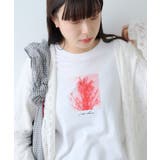 【Kastane】 MIRRORS SILK | PAL GROUP OUTLET | 詳細画像10 