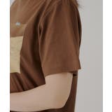 【Kastane】”DIVE INTO THE | PAL GROUP OUTLET | 詳細画像32 