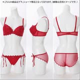 【EFカップ】Passion Flowers 3/4カップブラ | palissee | 詳細画像16