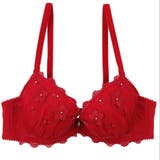 レッド | 【EFカップ】Passion Flowers 3/4カップブラ | palissee