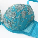 【EFカップ】ローズ刺繍 ３/４モールドカップブラ＆ショーツ＋Tバック | palissee | 詳細画像10 