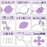 フェミニンアーチレース３ ４モールドカップブラ＆ショーツ＋Tバック | palissee | 詳細画像12 