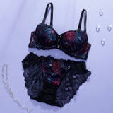 ブラック | 【EFカップ】ルミナスシャドウブルーム３/４モールドカップブラ＆ショーツ | palissee