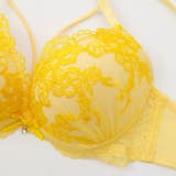 【EFカップ】レディアントフラワーレース３/４モールドカップブラ＆ショーツ | palissee | 詳細画像4 