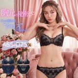 Sparkle Veil ブラ&ショーツ | palissee | 詳細画像1