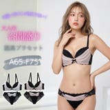 【脇高】ノワール シフォン 脇高ブラ&ハーフバックレースショーツ【A~Fカップ】 | palissee | 詳細画像1