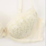 【EFカップ】アンティークローズ3/4カップブラ&ショーツ  | palissee | 詳細画像11