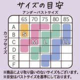 【脇高】レースプッシュアップノンワイヤーブラ＆ショーツ  | palissee | 詳細画像16 