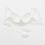 【EFカップ】ailes d'ange３/４カップブラ＆ショーツ  | palissee | 詳細画像9 