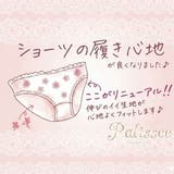 ストライプマーガレット ３/４カップブラ＆ショーツ  | palissee | 詳細画像15 