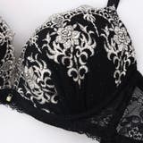 【脇高】エレガンスオーナメント ３ ４モールドカップブラ＆バックレースTバック | palissee | 詳細画像6 