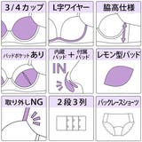 【脇高】グランローズ３/４モールドカップブラ＆バックレースショーツ  E F | palissee | 詳細画像14 